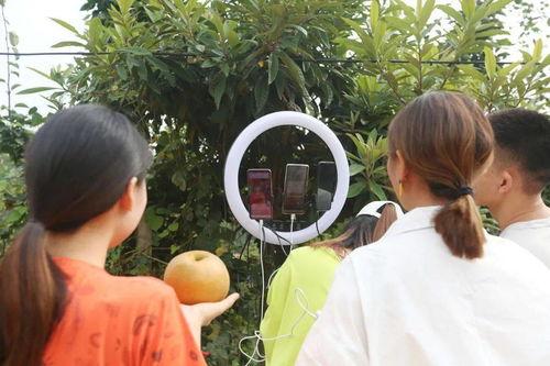 瓜哥吃货助农视频,瓜哥带你探索助农美食之旅