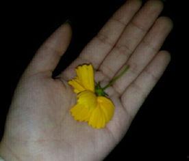 吃瓜群众降价视频大全,吃瓜群众降价视频大盘点