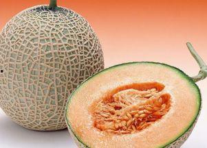 火焰龟吃哈密瓜好吗视频,营养与适宜性分析