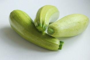 吃茄瓜搞笑视频大全,笑料横生！茄瓜搞笑视频大盘点