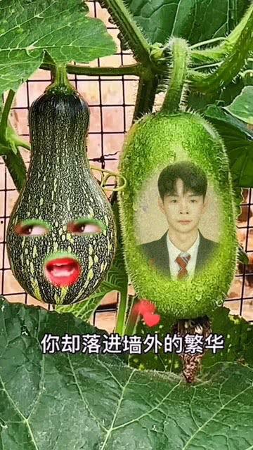 最火的吃瓜视频特效,全网爆火！揭秘吃瓜视频特效背后的秘密