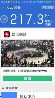 吃瓜视频文案网站下载,热门话题背后的故事