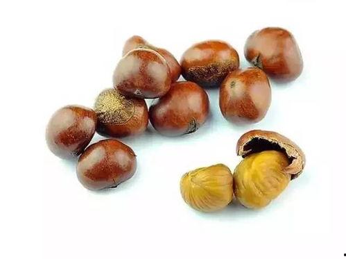 吃板栗瓜会中毒吗视频,专家揭秘真相